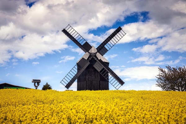 Wandbild Kottmar - Die Windmühle Kottmar (Motiv 00937)