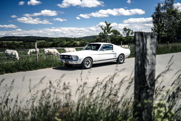 Wandbild 1967 Ford Mustang Fastback GTA 390 (Motiv V8 10)