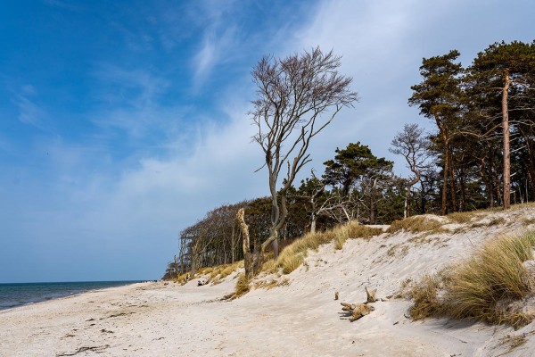 Wandbild Ostsee - Der Weststrand (Motiv DMOS13)