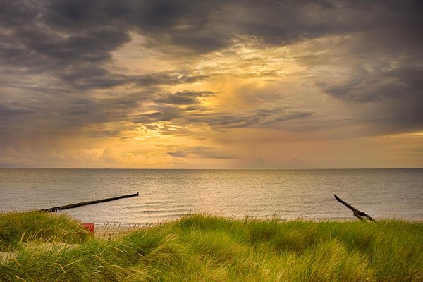 Wandbild Ostsee - Dünen in Ahrenshoop (Motiv DMOS01)