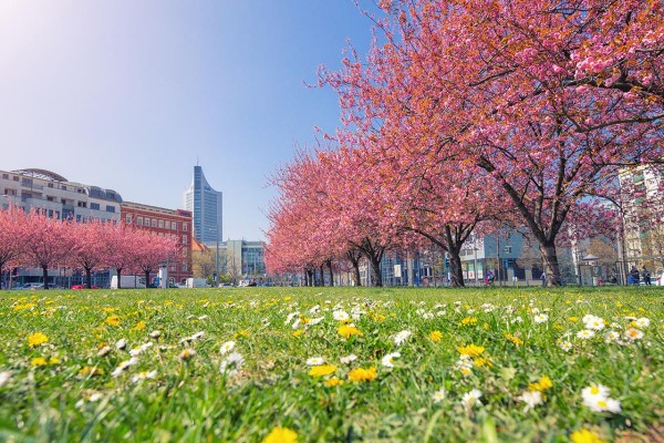 Wandbild Leipzig - Frühling in Leipzig (Motiv PK22)