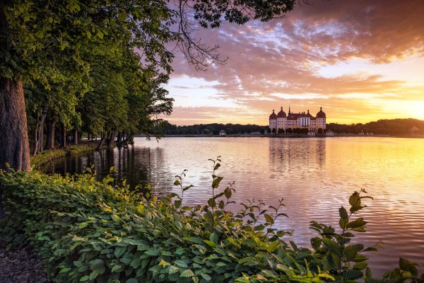 Wandbild Moritzburg - Schloss Moritzburg zum Sonnenuntergang (Motiv 00957)