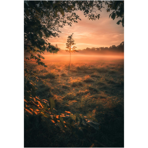Wandbild Dresden - Großer Garten zum Sonnenuntergang (Motiv LV47)