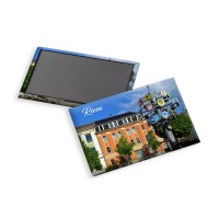 Magnet Riesa - Zünftige Grüße aus Riesa - Motiv Rathausplatz mit Zunftbaum Magnet Riesa - Zünftige Grüße aus Riesa - Motiv Rathausplatz mit Zunftbaum