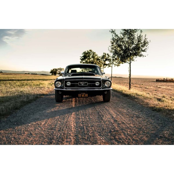 Wandbild 1967 Ford Mustang Fastback GT (Motiv V8 08)