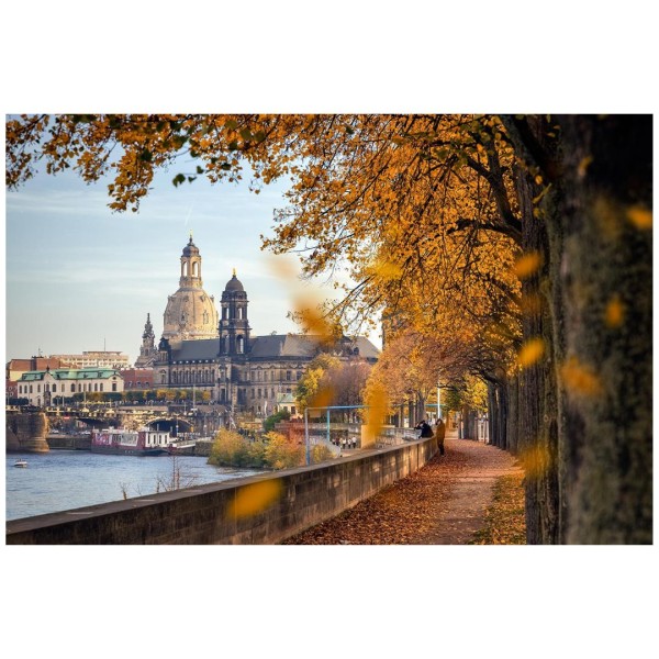 Wandbild Dresden - Das Königsufer im Herbst (Motiv 01142)
