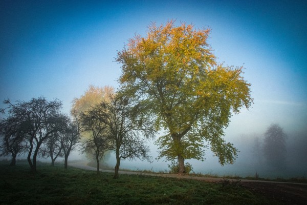 Wandbild Morgenstimmung Nebel im Hirschberger Tal (Motiv JR12)