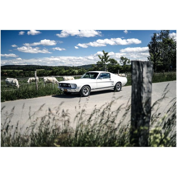 Wandbild 1967 Ford Mustang Fastback GTA 390 (Motiv V8 10)