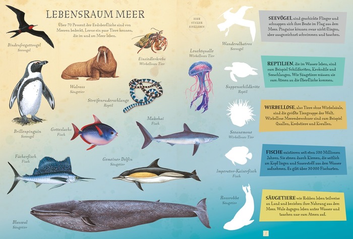 Die Welt der Meere | Geschenkideen | Kinder | DDV Lokal
