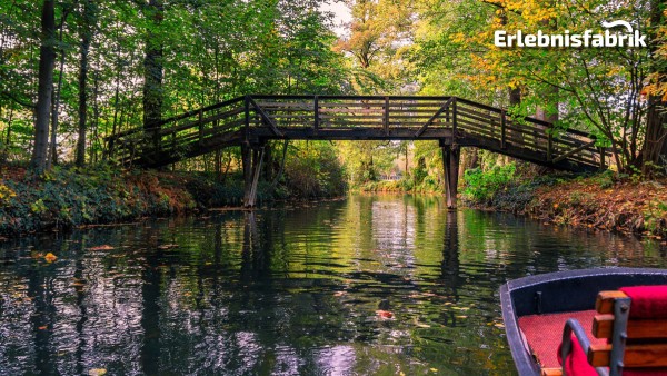 Kahnfahrt mit Mondschein im Spreewald