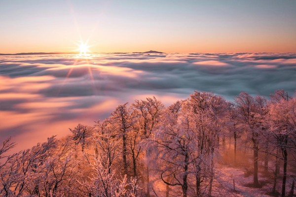 Wandbild Zittauer Gebirge - Wintermorgen auf der Lausche (Motiv LV42)