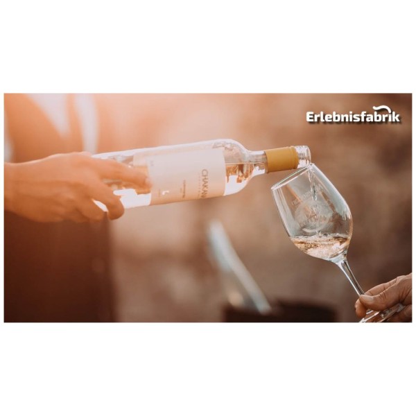 Erlebnistag in den sächsischen Weinbergen