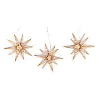Halauer Weihnachtssterne kaufen | DDV Lokal