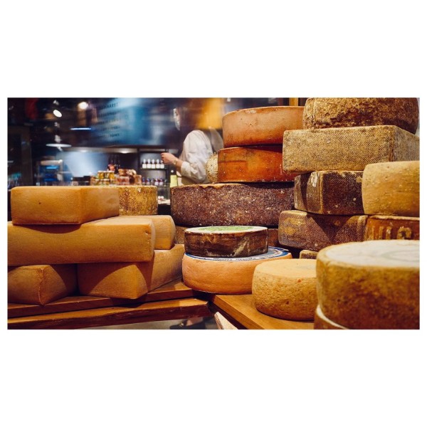 Käse selber herstellen in Dresden