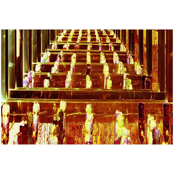 Wandbild Bibliothek (Motiv RD02)