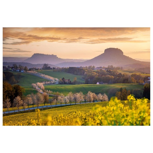 Wandbild Sächsische Schweiz - Blick auf den Lilienstein zum Sonnenuntergang (Motiv 01060)