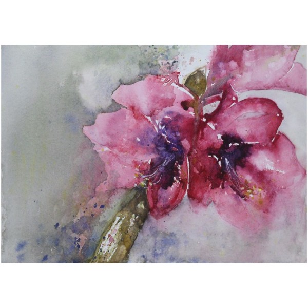 Aquarell - Amaryllis 1