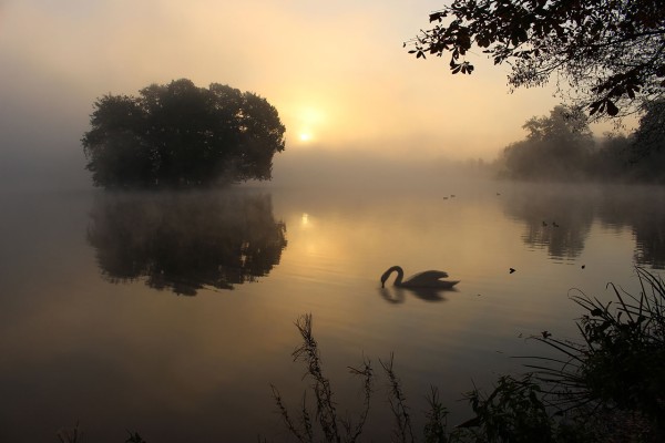 Wandbild - Nebel in Moritzburg (Motiv CS29)