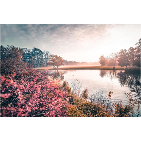 Wandbild Dresden - Großer Garten im Herbstlook (Motiv LV18)