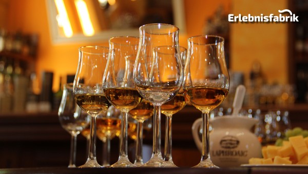 Whisky Tasting in Dresden