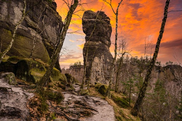 Wandbild Sächsische Schweiz - Am Frienstein (Motiv DMSZ04)