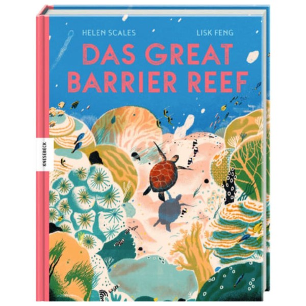 Das Great Barrier Reef - Das größte Korallenriff der Welt für Kinder erklärt