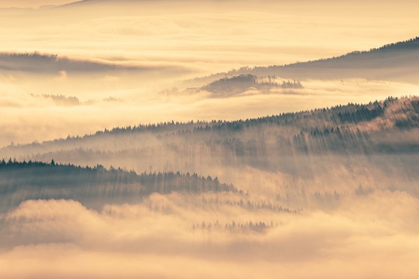 Wandbild Zittauer Gebirge - Endloser Wald umschlungen von Nebel (Motiv LV32)