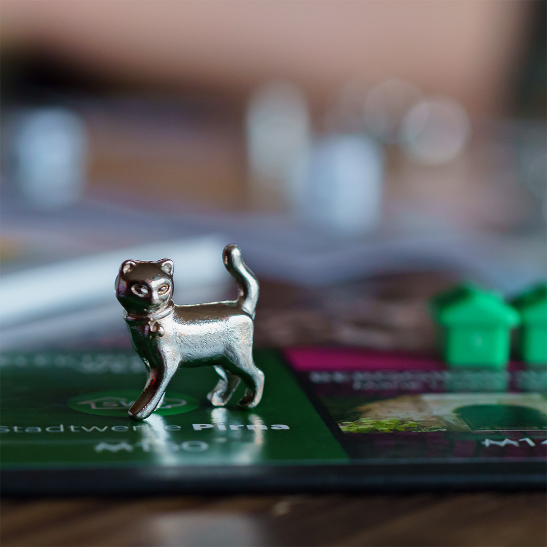 Monopoly Sächsische Schweiz - Spielfigur Katze steht auf Feld Elektrizitätswerk 