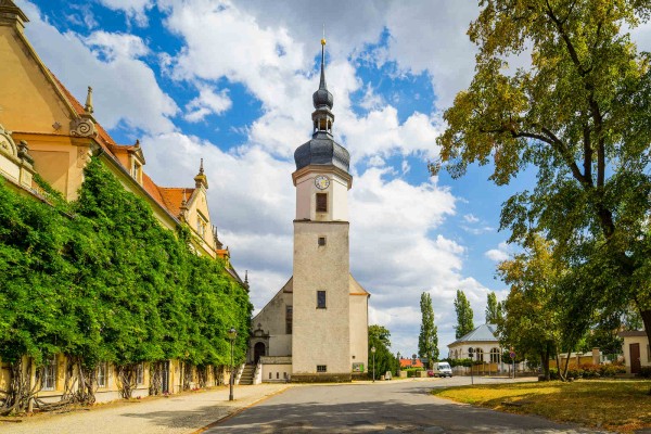 Wandbild Riesa - Die Klosterkirche (Motiv DMRIE45)