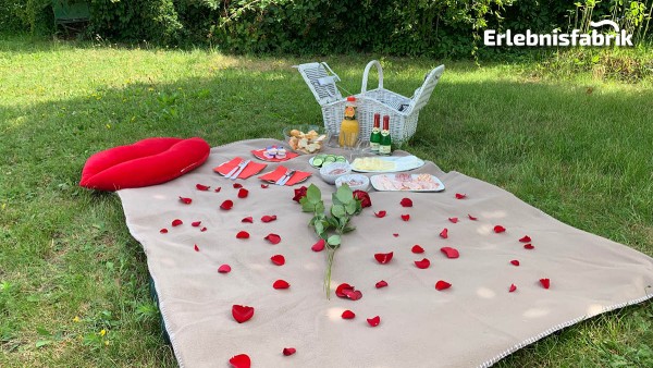 Kutschfahrt mit Picknick in Dresden
