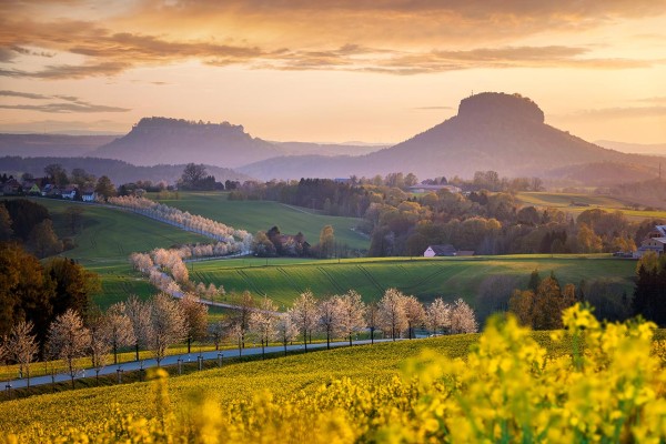 Wandbild Sächsische Schweiz - Blick auf den Lilienstein zum Sonnenuntergang (Motiv 01060)