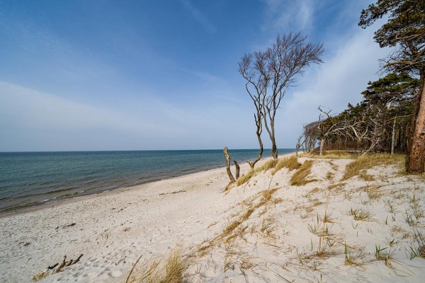 Wandbild Ostsee - Die Windflüchter (Motiv DMOS26)