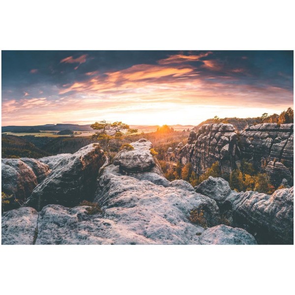 Wandbild Sächsische Schweiz - Brennender Sonnenuntergang - Blick auf eine Kiefer (Motiv LV03)