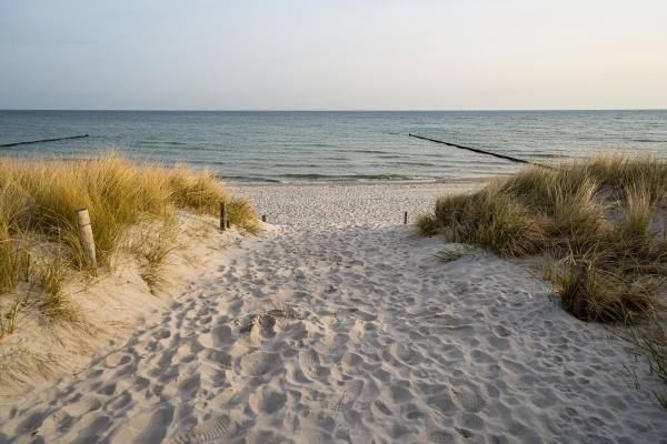 Wandbild Ostsee - Strandübergang 36 Prerow (Motiv DMOS23)